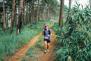 BIB: 
                            <button type="button" onclick="openModal(25686384)" class="btn btn-primary btn-sm float-right btn-popup" data-toggle="modal" data-target=".modal-high-quality">
                        <i class="fas fa-shopping-cart"></i> Add to Cart
                    </button>
                                            <button type="button" onclick="isThisMe(25686384, true)" class="btn btn-success btn-sm float-right btn-popup btn-isme hidden" data-toggle="tooltip" data-placement="bottom" title="นี่คือรูปของคุณใช่ไหม คลิกที่นี่เพื่อเอาเข้าอัลบั้ม">
                        <i class="fas fa-plus"></i> Add to album
                    </button>
                    <button type="button" onclick="isThisMe(25686384, false)" class="btn btn-warning btn-sm float-right btn-popup btn-isnotme hidden">
                        <i class="fas fa-ban"></i> Remove from album
                    </button>